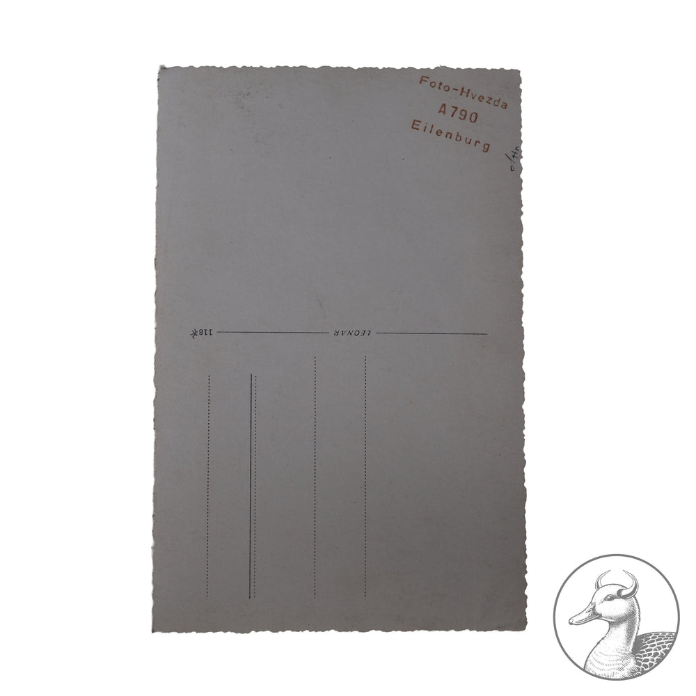 Originales Portrait eines HJ-Führers des Gebietes Mitte -Mittelland&nbsp;

Authentisches und seltenes Zeitdokument aus dem Zeitraum des Dritten Reiches. Sehr seltenes Studioportrait eines HJ Führers, fotografiert in Eilenburg. Sehr selten.