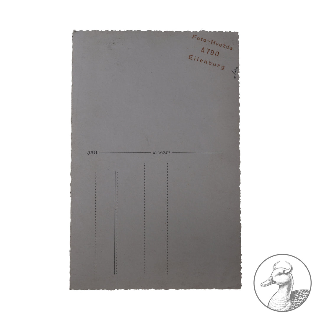 Originales Portrait eines HJ-Führers des Gebietes Mitte -Mittelland&nbsp;

Authentisches und seltenes Zeitdokument aus dem Zeitraum des Dritten Reiches. Sehr seltenes Studioportrait eines HJ Führers, fotografiert in Eilenburg. Sehr selten.