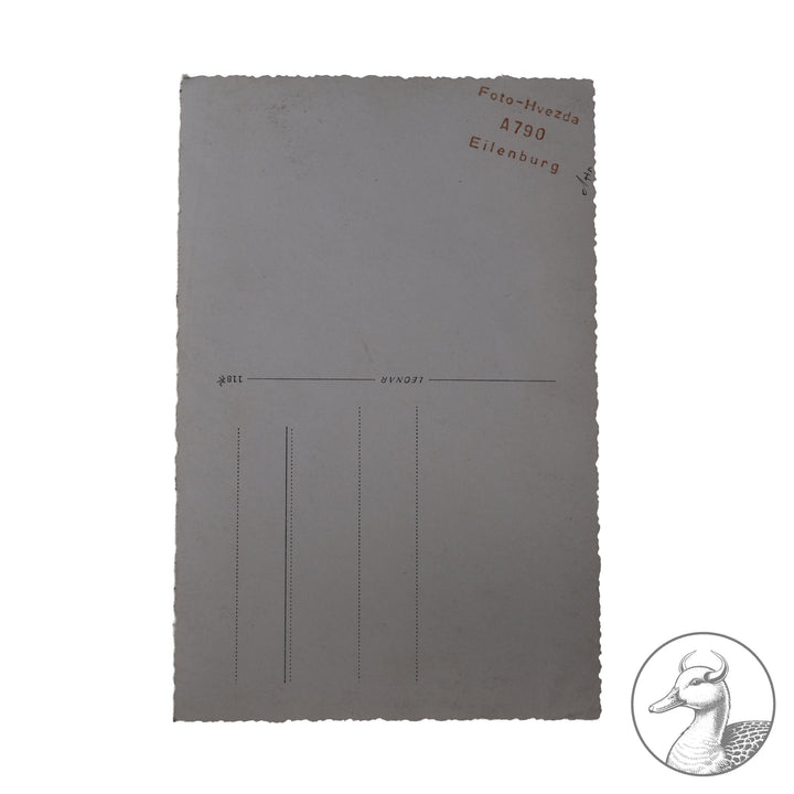 Originales Portrait eines HJ-Führers des Gebietes Mitte -Mittelland&nbsp;

Authentisches und seltenes Zeitdokument aus dem Zeitraum des Dritten Reiches. Sehr seltenes Studioportrait eines HJ Führers, fotografiert in Eilenburg. Sehr selten.