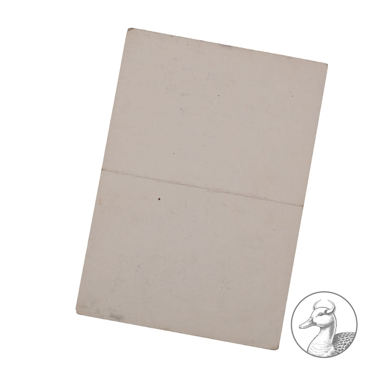 Kleine Urkundengruppe  Kampfgruppe Scholz Bandenkampf Balkan Heeresgruppe E