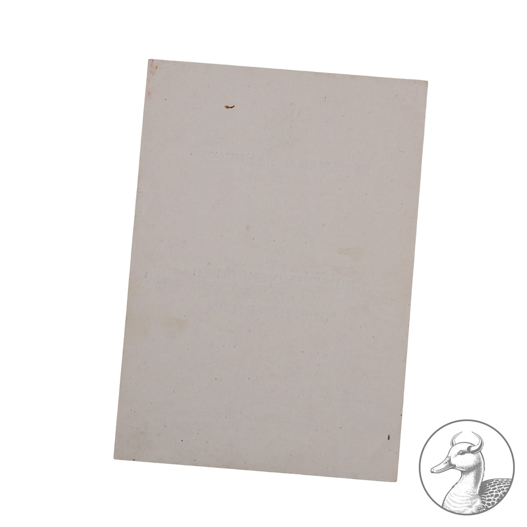 Kleine Urkundengruppe  Kampfgruppe Scholz Bandenkampf Balkan Heeresgruppe E