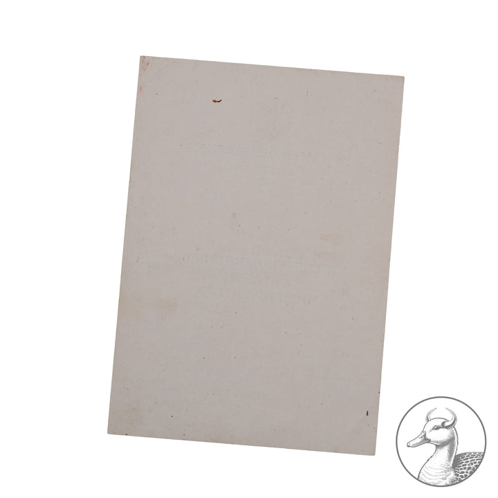 Kleine Urkundengruppe  Kampfgruppe Scholz Bandenkampf Balkan Heeresgruppe E