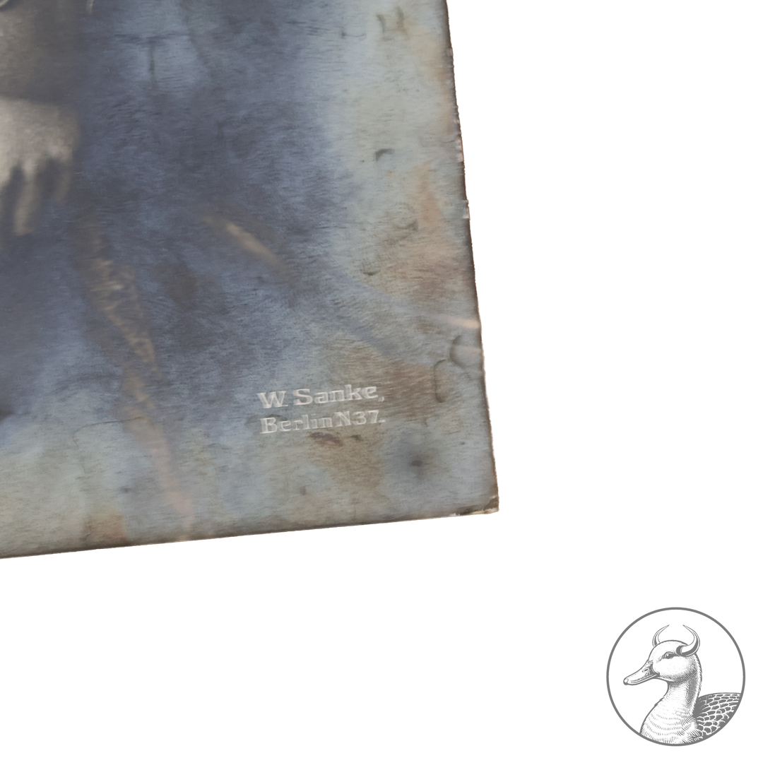 Originales Portrait von Oswald Boelcke Willi Sanke Berlin.

Große Portraitfotografie Hauptmann Boelckes aus der Zeit des 1. Weltkrieges und eine Postkarte die Boelcke zusammen mit Oberleutnant Immelmann im Kreise ihrer Kameraden zeigt. Beide Abbildungen stammen aus Berlin W. Sanke (Photographica und Postkartenvertrieb