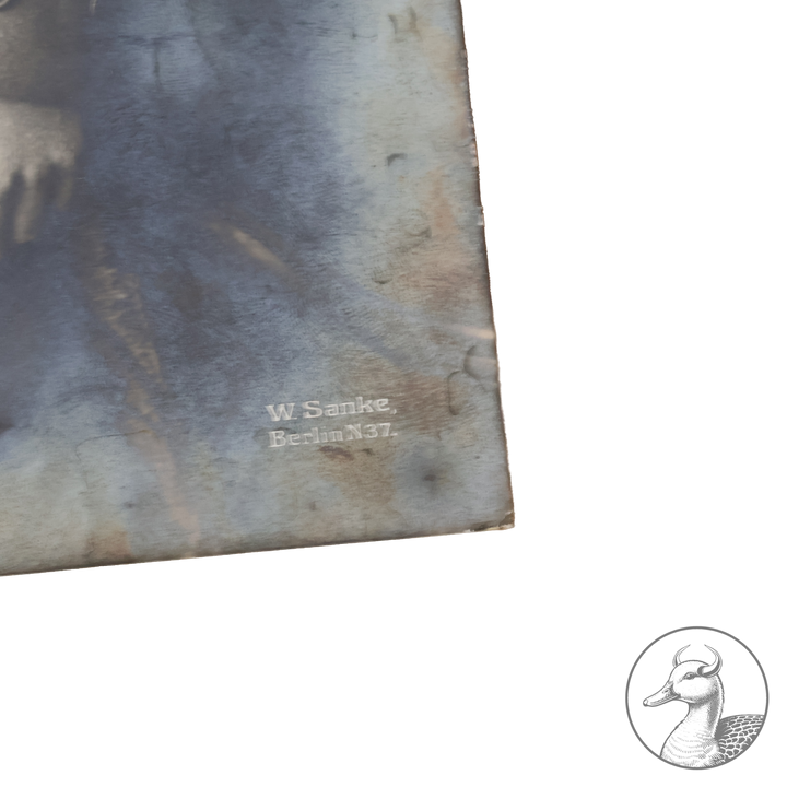 Originales Portrait von Oswald Boelcke Willi Sanke Berlin.

Große Portraitfotografie Hauptmann Boelckes aus der Zeit des 1. Weltkrieges und eine Postkarte die Boelcke zusammen mit Oberleutnant Immelmann im Kreise ihrer Kameraden zeigt. Beide Abbildungen stammen aus Berlin W. Sanke (Photographica und Postkartenvertrieb