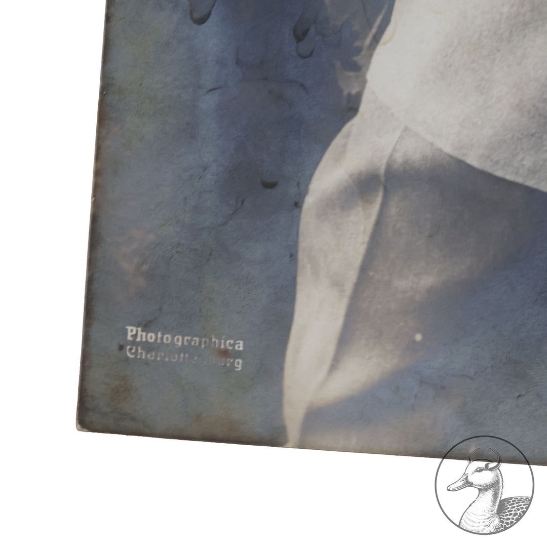 Originales Portrait von Oswald Boelcke Willi Sanke Berlin.

Große Portraitfotografie Hauptmann Boelckes aus der Zeit des 1. Weltkrieges und eine Postkarte die Boelcke zusammen mit Oberleutnant Immelmann im Kreise ihrer Kameraden zeigt. Beide Abbildungen stammen aus Berlin W. Sanke (Photographica und Postkartenvertrieb