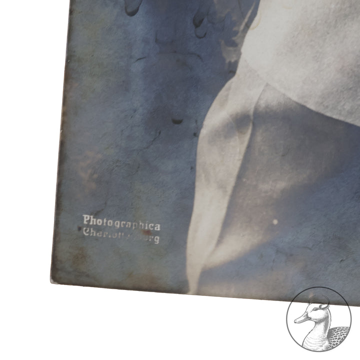 Originales Portrait von Oswald Boelcke Willi Sanke Berlin.

Große Portraitfotografie Hauptmann Boelckes aus der Zeit des 1. Weltkrieges und eine Postkarte die Boelcke zusammen mit Oberleutnant Immelmann im Kreise ihrer Kameraden zeigt. Beide Abbildungen stammen aus Berlin W. Sanke (Photographica und Postkartenvertrieb