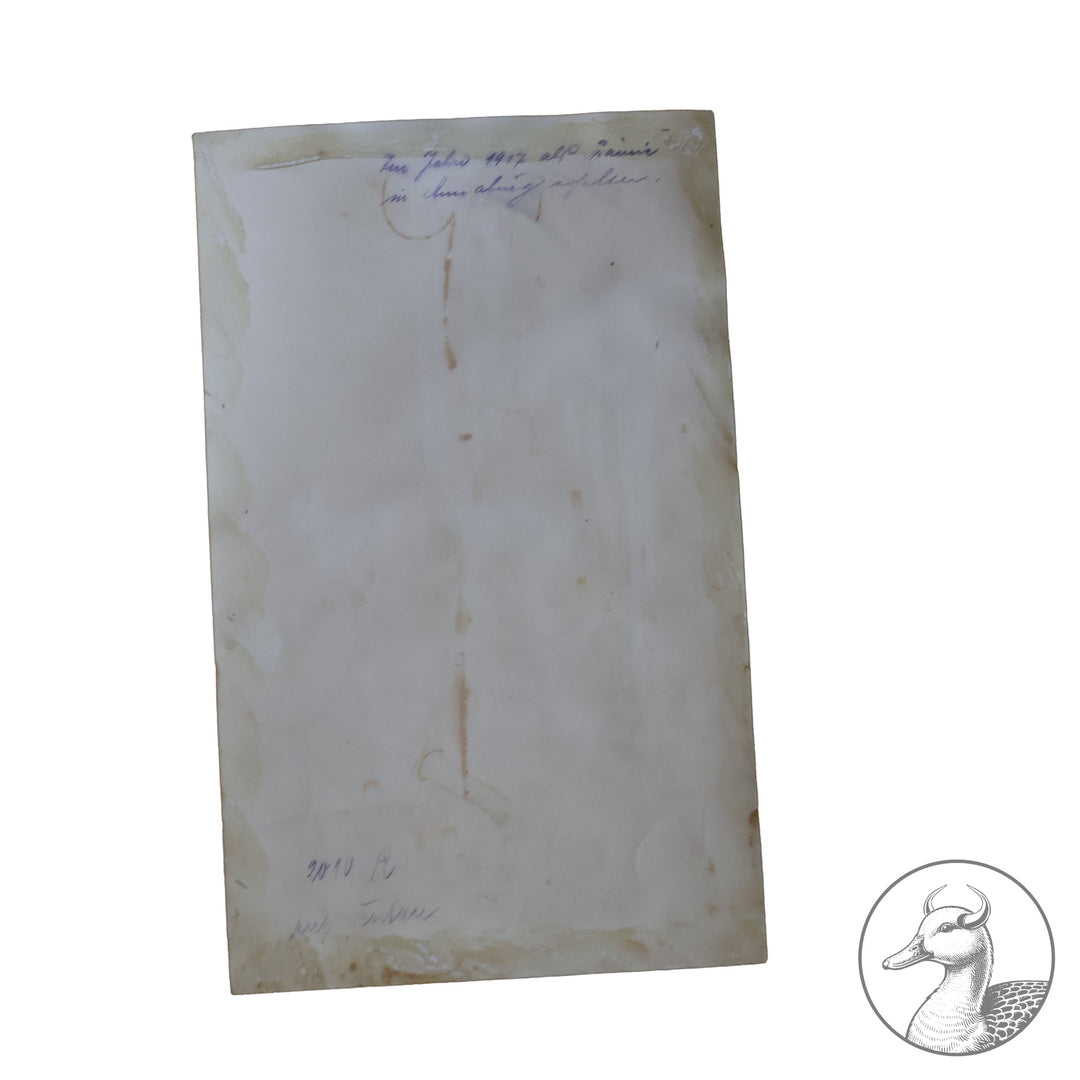 Originales Portrait von Oswald Boelcke Willi Sanke Berlin.

Große Portraitfotografie Hauptmann Boelckes aus der Zeit des 1. Weltkrieges und eine Postkarte die Boelcke zusammen mit Oberleutnant Immelmann im Kreise ihrer Kameraden zeigt. Beide Abbildungen stammen aus Berlin W. Sanke (Photographica und Postkartenvertrieb