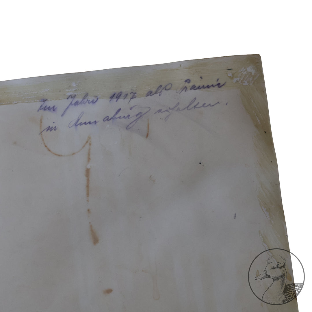 Originales Portrait von Oswald Boelcke Willi Sanke Berlin.

Große Portraitfotografie Hauptmann Boelckes aus der Zeit des 1. Weltkrieges und eine Postkarte die Boelcke zusammen mit Oberleutnant Immelmann im Kreise ihrer Kameraden zeigt. Beide Abbildungen stammen aus Berlin W. Sanke (Photographica und Postkartenvertrieb