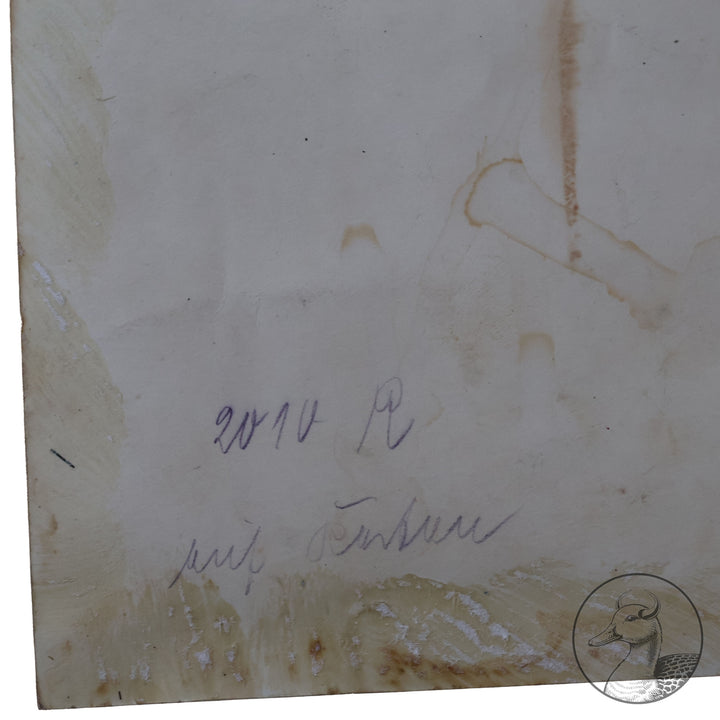 Originales Portrait von Oswald Boelcke Willi Sanke Berlin.

Große Portraitfotografie Hauptmann Boelckes aus der Zeit des 1. Weltkrieges und eine Postkarte die Boelcke zusammen mit Oberleutnant Immelmann im Kreise ihrer Kameraden zeigt. Beide Abbildungen stammen aus Berlin W. Sanke (Photographica und Postkartenvertrieb