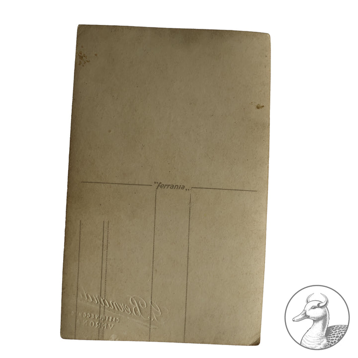 Originales Portrait eines Soldaten der Luftwaffe in Tropenuniform-Südfront

Authentisches und seltenes Zeitdokument aus dem Zeitraum des Dritten Reiches