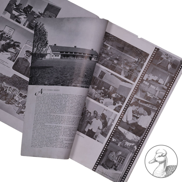 Gruppe eines RAD Mädels, die bei der Reichsbahn im Einsatz war . Mützenabzeichen&nbsp; Technischer Dienst elektrisch Buntmetall mit dem seltenen Trägerfoto und einer Werkzeitung der Stuttgarter Straßenbahn AG .