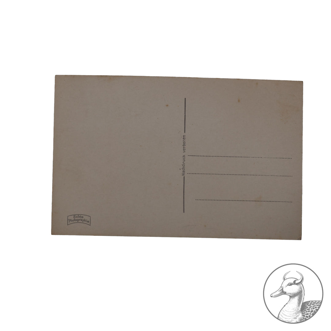 Postkarte Fotografie&nbsp;

Adolf Hitler - mit Ernst Röhm -SA Aufmarsch 1933