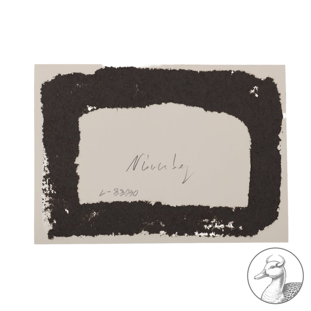 Postkarte Propaganda Reichsparteitag Nürnberg

Adolf Hitler -&nbsp; mit Himmler und Lutze im Luitpoldhain