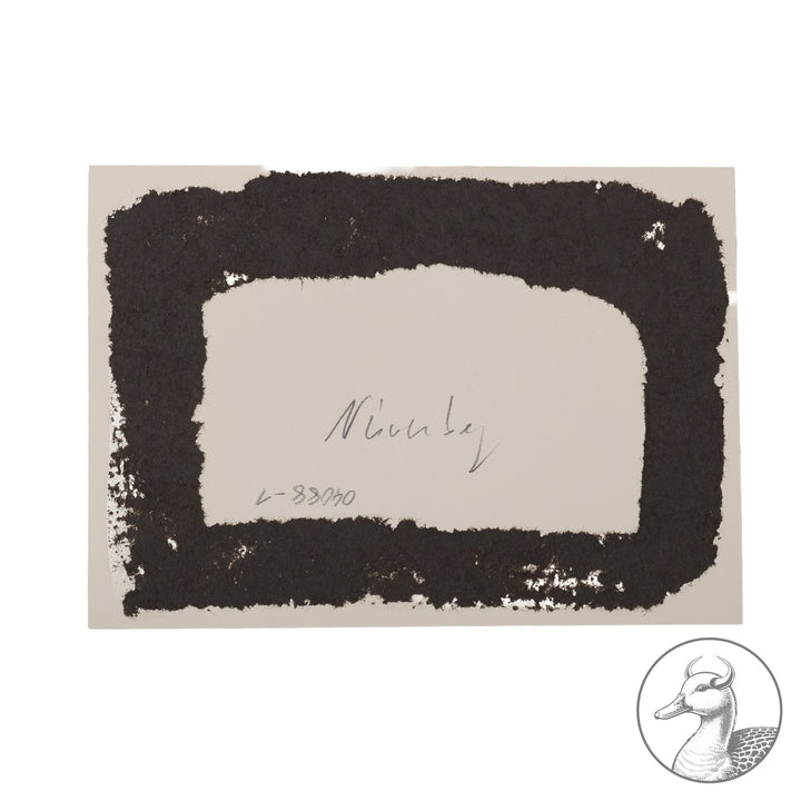 Postkarte Propaganda Reichsparteitag Nürnberg

Adolf Hitler -&nbsp; mit Himmler und Lutze im Luitpoldhain