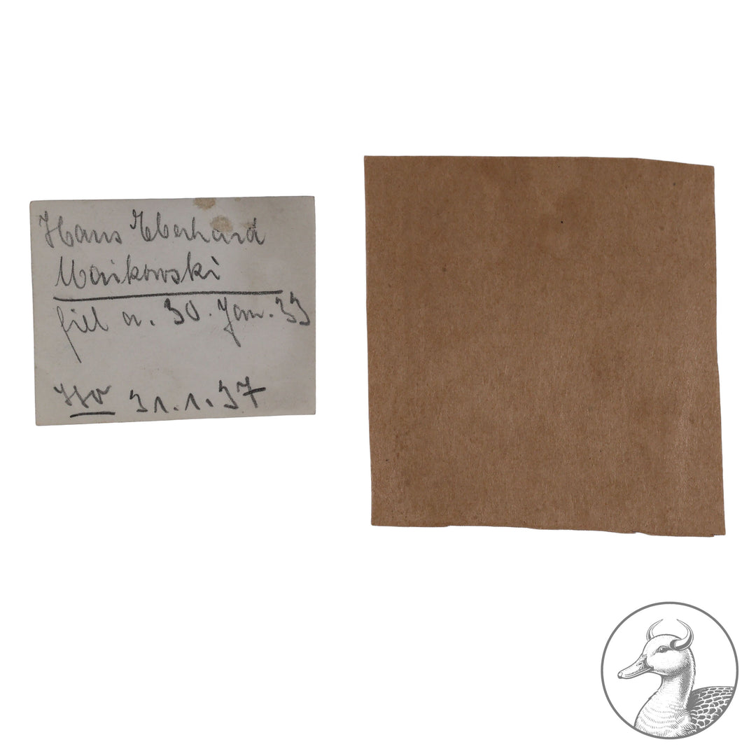 Presseillustrationen von SA-Mann Hans E. Maikowski&nbsp;

Führer des SA-Sturms 33 in Berlin Charlottenburg. Ermordet 30. Januar 1933.

Presse Foto GmbH Berlin: Ehrenstätte für Maikowski 1937

Presse Weltbild GmbH Berlin: Kranzniederlegung am Grabe Maikowskis 1937

Presseillustrationen Hoffmann Berlin: Gedenkfeier für Hans Maikowski 30. Januar 1937